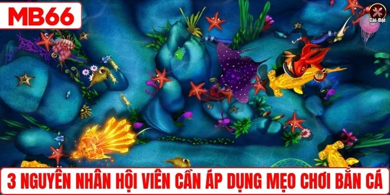 3 nguyên nhân hội viên cần áp dụng mẹo chơi bắn cá 
