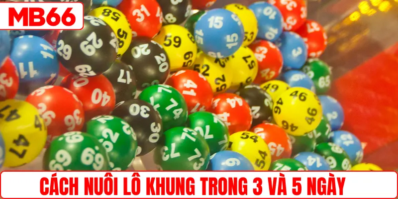  Cách nuôi lô khung trong 3 và 5 ngày