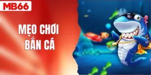Top 5 Mẹo Chơi Bắn Cá Trăm Trận Trăm Thắng Cho Từ Bậc Thầy 