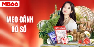 Mẹo Đánh Xổ Số - Bí Kíp Soi Cầu Cho Người Mới Bắt Đầu